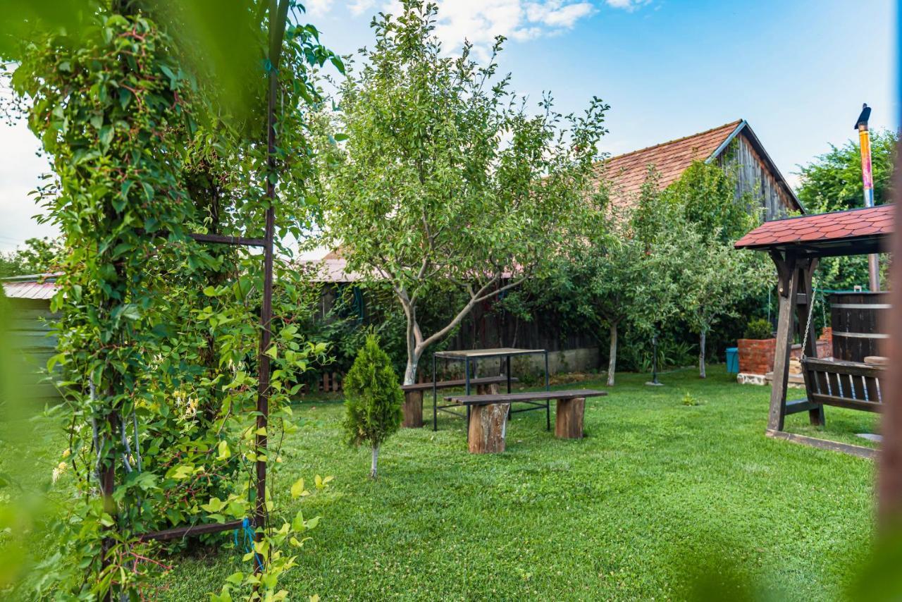 Casa Dives - Transylvania Pianu de Sus Exterior foto