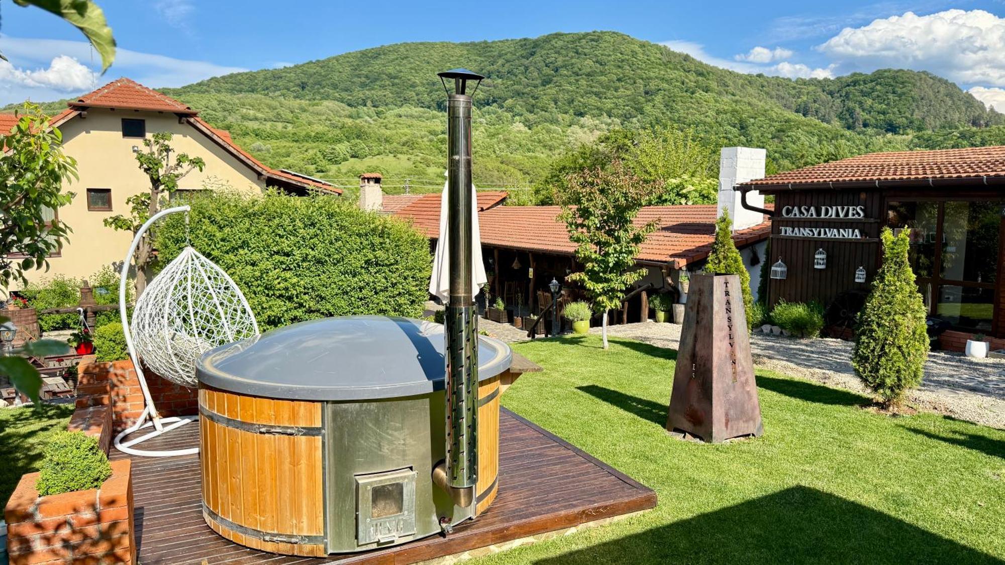 Casa Dives - Transylvania Pianu de Sus Exterior foto
